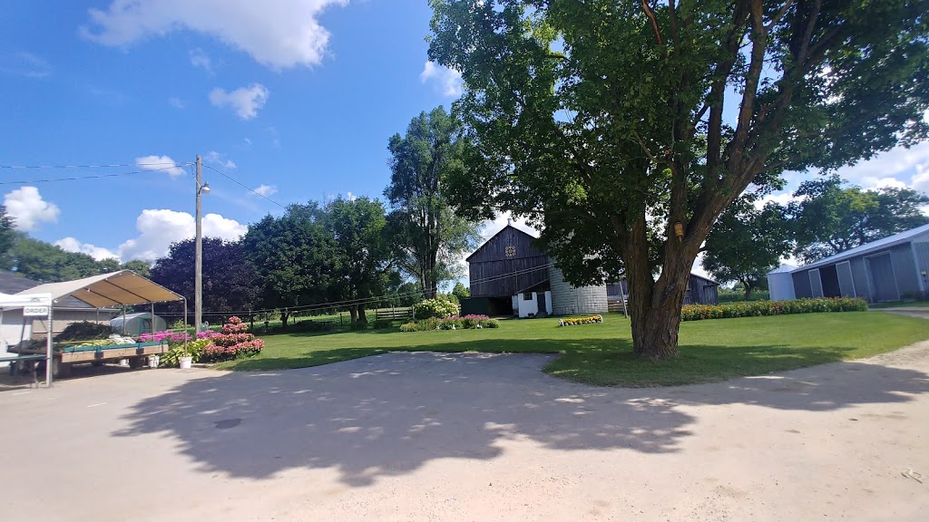 Browns Farm | *** Corn available at farm in Season Check farm Facebook Page for Corn availability****, 1809 Penetanguishene Rd, Barrie, ON L4M 4Y8, Canada | Phone: (705) 726-8017