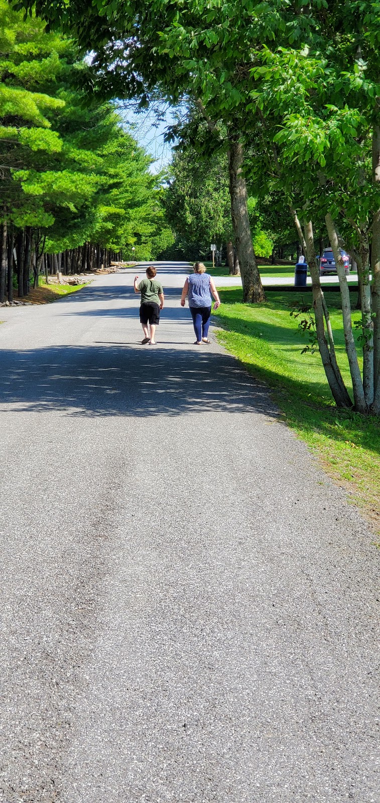 Pioneer Point | 2560 Westview Rd, Lakefield, ON K0L 2H0, Canada | Phone: (705) 657-8831