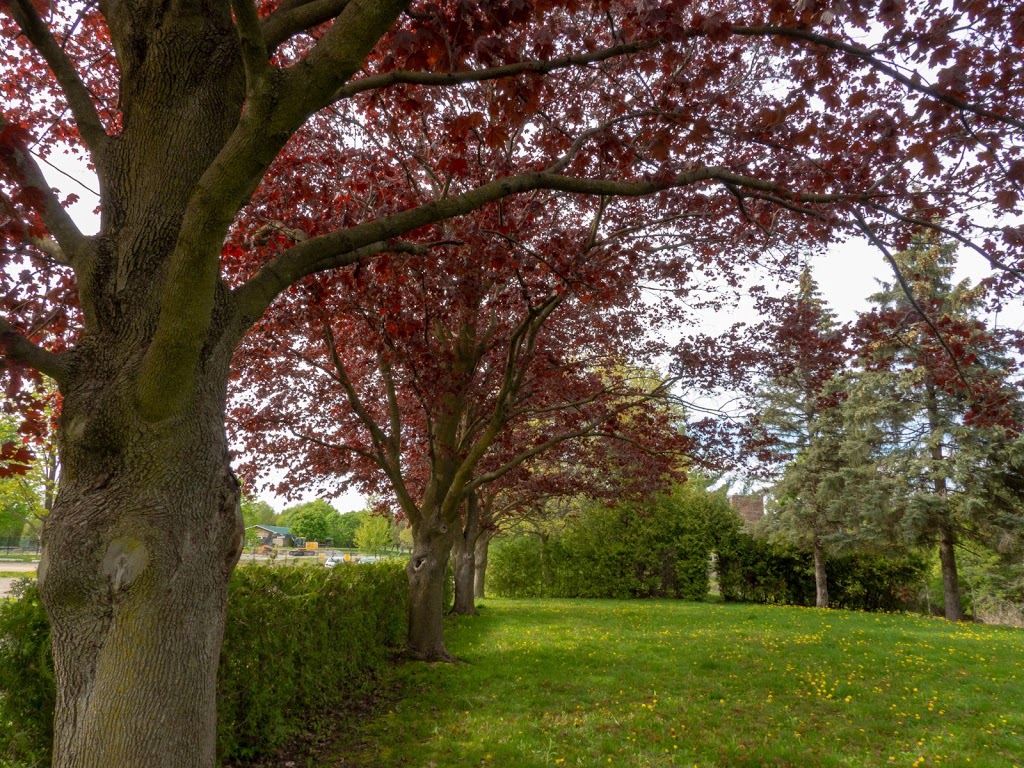Cullen Central Park | 300 Taunton Rd W, Whitby, ON L1N 5R5, Canada | Phone: (905) 668-5803