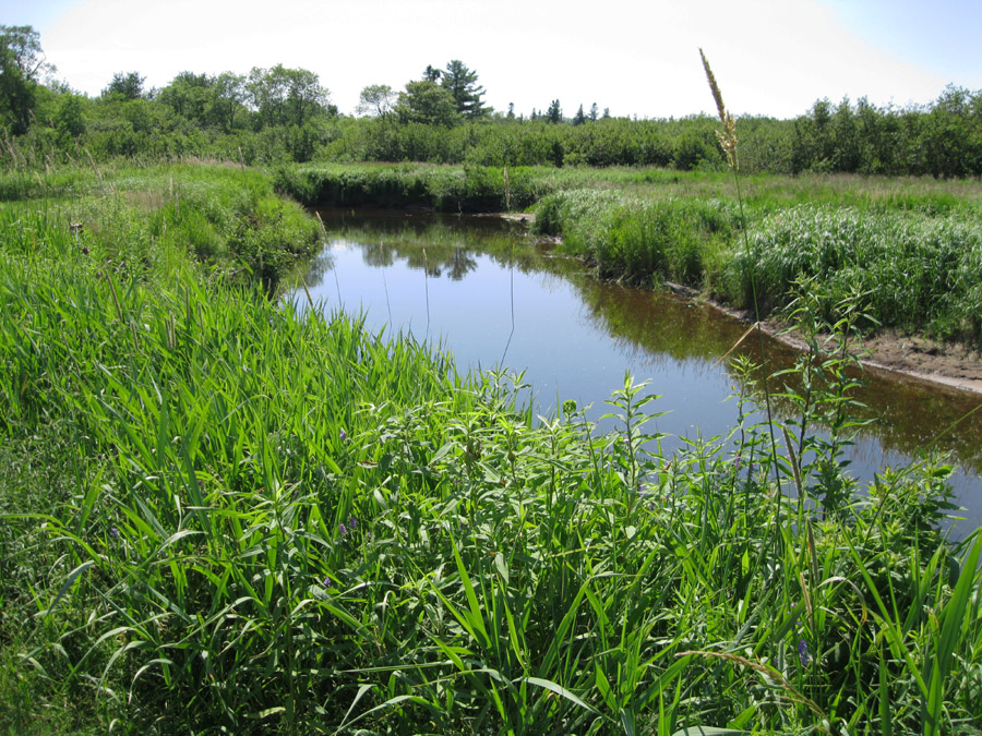 Renfrew Camping | 824 Renfrew Rd, Nine Mile River, NS B2S 2W5, Canada | Phone: (902) 883-1315