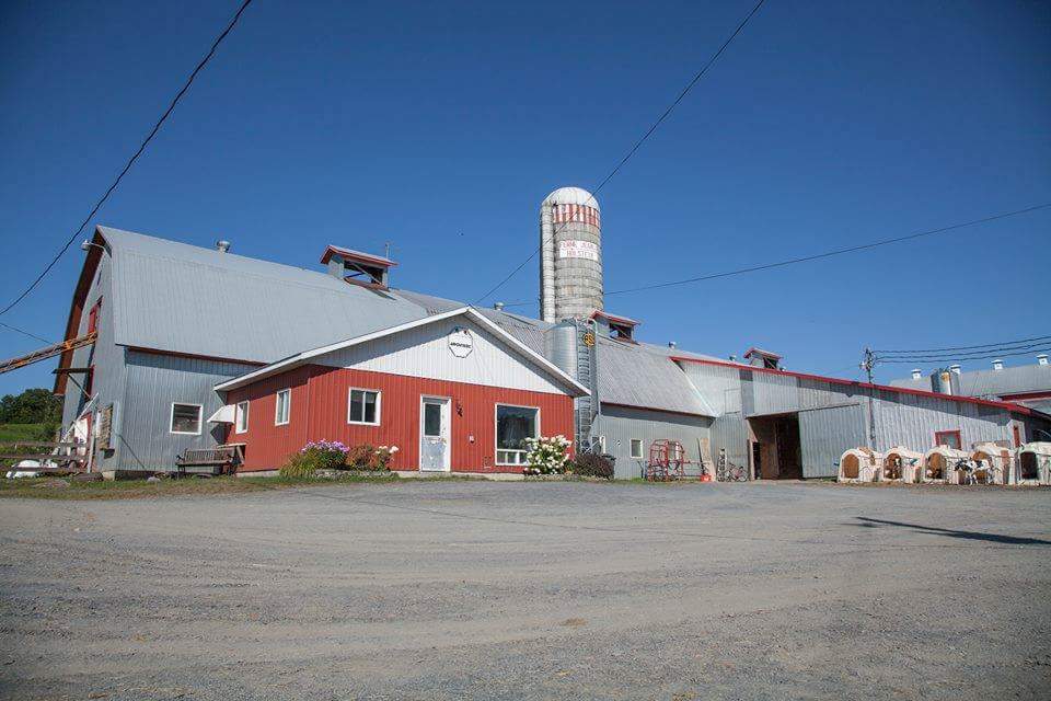 J.P. POULIN & FILS INC. (FERME JEANLU ENR.) | 126 Rang St Pierre, Saint-Benoît-Labre, QC G0M 1P0, Canada | Phone: (418) 228-0524