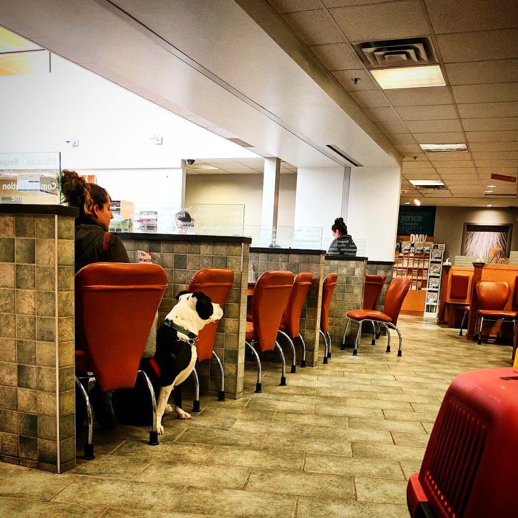 DMV Veterinary Center | 2300 54e Av, Lachine, QC H8T 3R2, Canada | Phone: (514) 633-8888