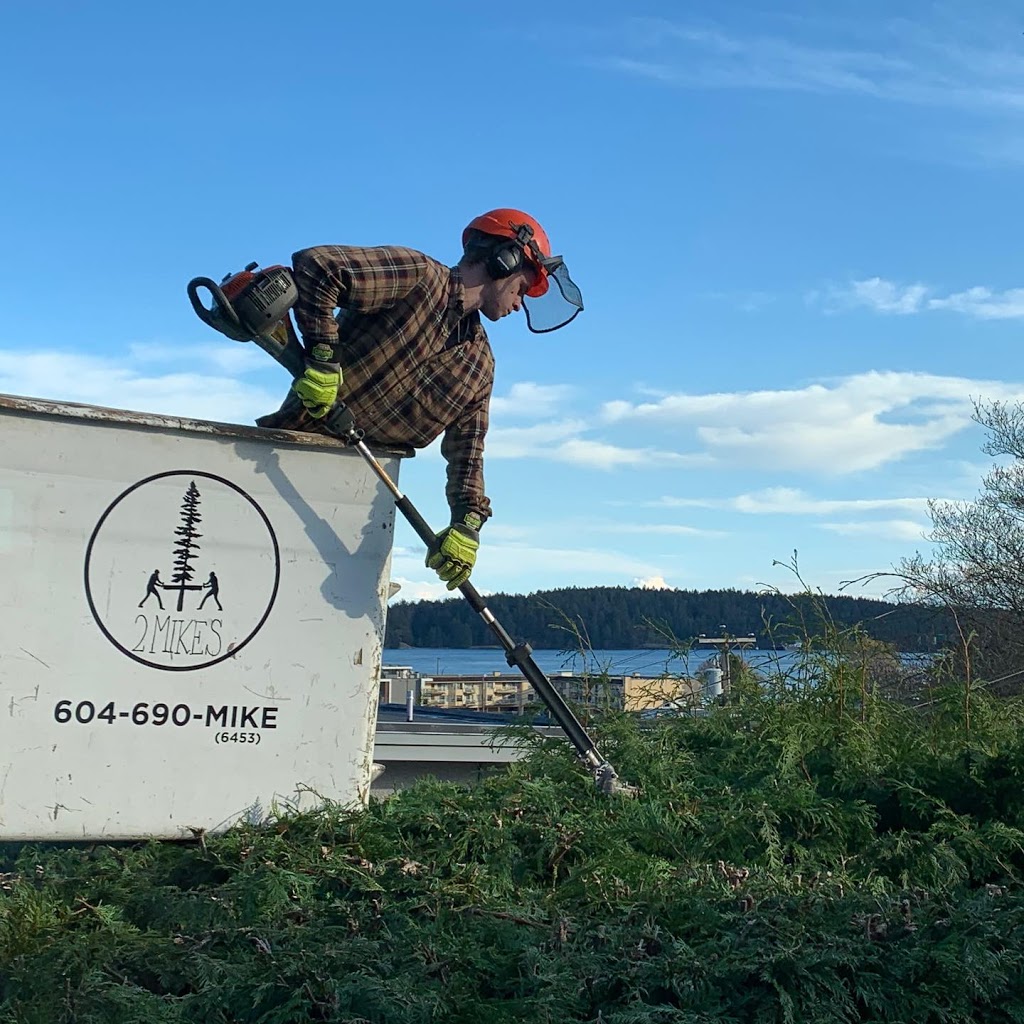 2 Mikes Tree Service | 7217 Lantzville Rd, Lantzville, BC V0R 2H0, Canada | Phone: (250) 714-9214