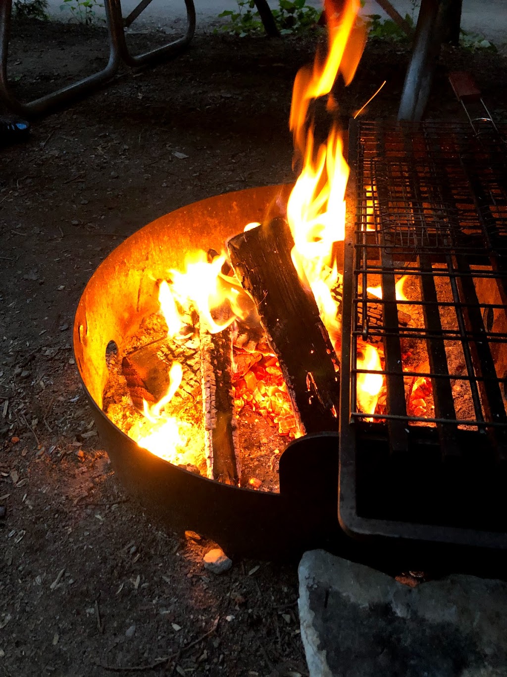 Birches Campsites- Bruce Peninsula National Park | 469 Cyprus Lake Rd, Tobermory, ON N0H 2R0, Canada | Phone: (519) 826-5391