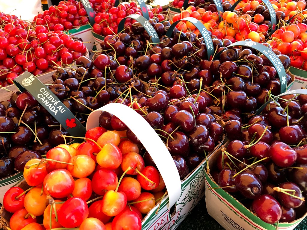 20 Valley Harvest Farms (Only Open In July) | 4235 Fifteenth St, Jordan Station, ON L0R 1S0, Canada | Phone: (905) 562-5272
