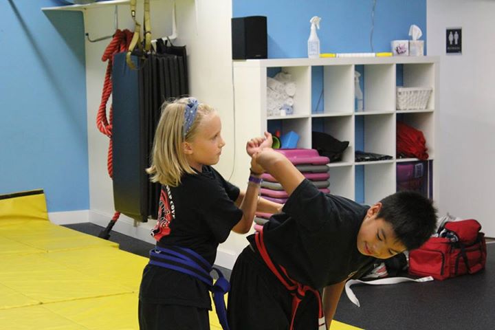 BC Martial Arts 4 All | 1230 Soball St, Coquitlam, BC V3B 3H7, Canada | Phone: (778) 318-5126