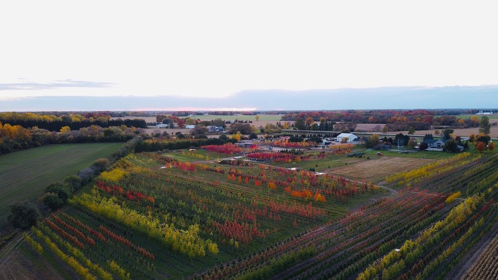Klomps Landscaping Inc. | Rd 119, St. Marys, ON N4X 1C9, Canada | Phone: (519) 284-0254