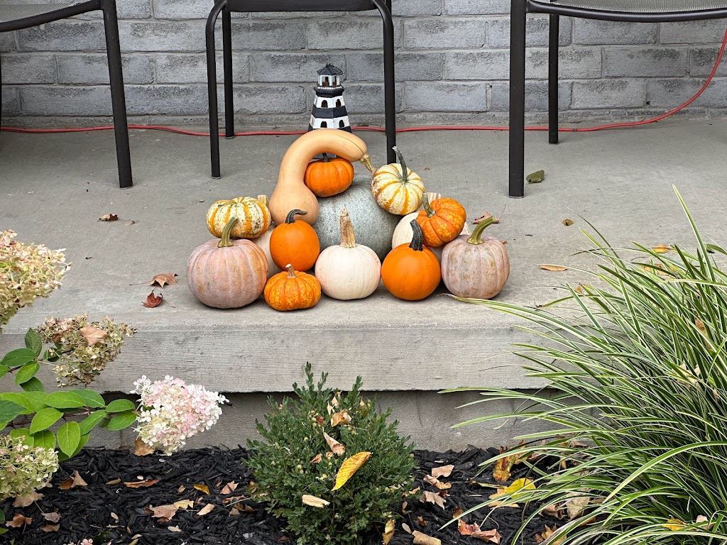Caradoc Mountain Pumpkin farm | Glengyle Dr, Strathroy, ON N7G 3H3, Canada | Phone: (519) 868-7244