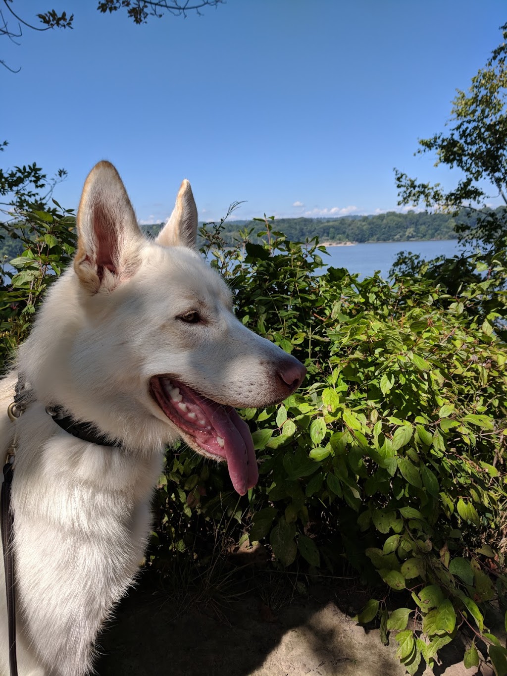 Sassafras Point Lookout | Sassafras Point Trail, Hamilton, ON L8S 4E9, Canada