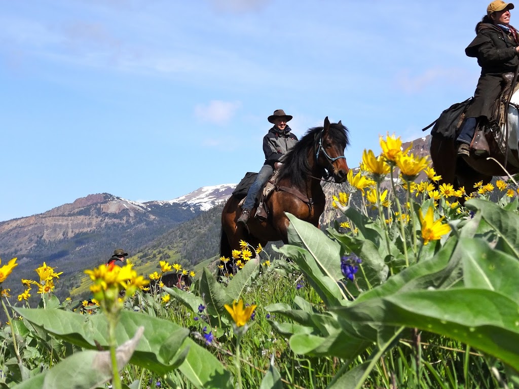 Chilcotin Holidays Guest Ranch | 3300 Gun Creek Rd, Gold Bridge, BC V0K 1P0, Canada | Phone: (250) 238-2274