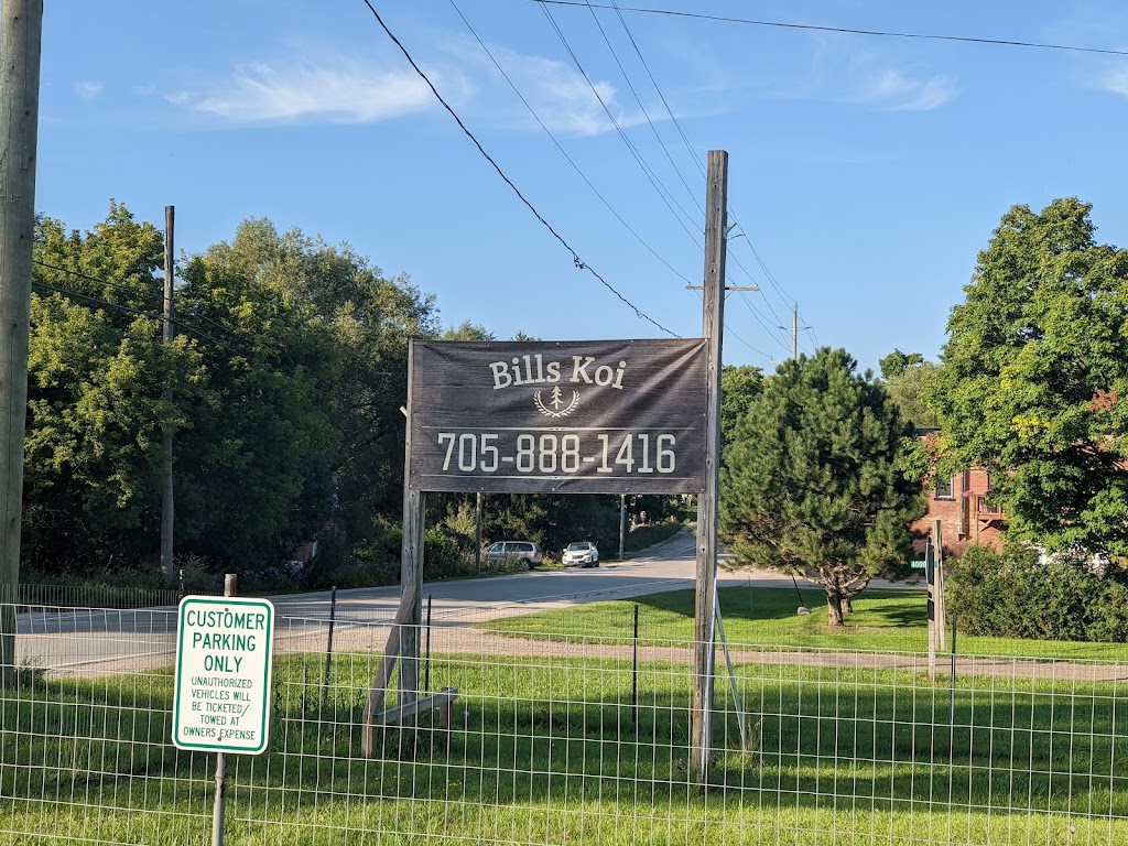 Bills Koi | 400052 Grey County Rd 4, Flesherton, ON N0C 1E0, Canada | Phone: (705) 888-1416