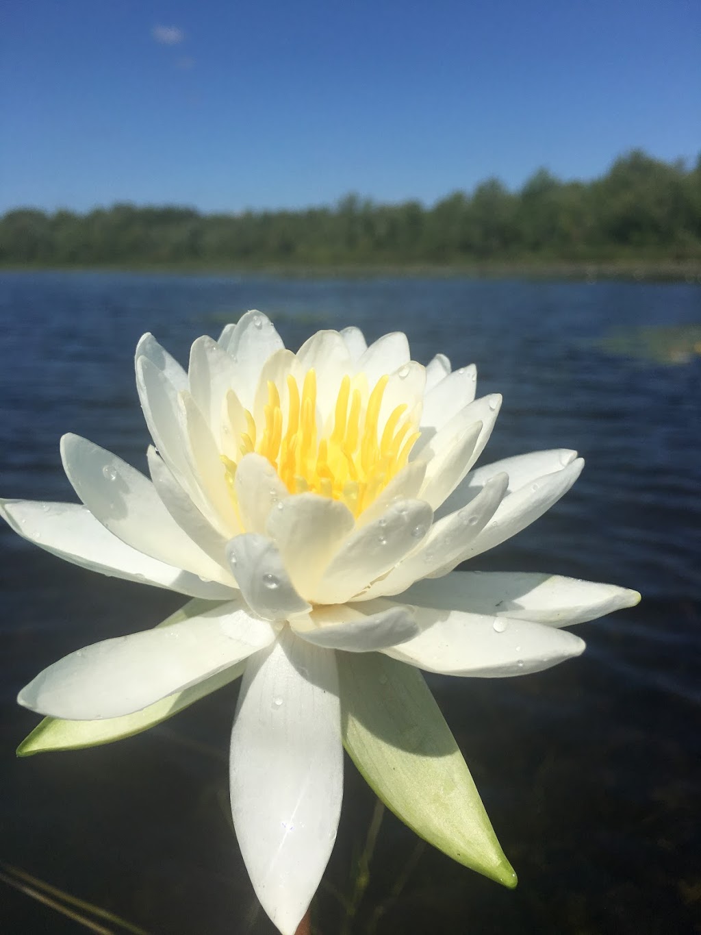 Missisippi Lake National Wildlife Area | Drummond/North Elmsley, ON K0G 1A0, Canada | Phone: (800) 668-6767