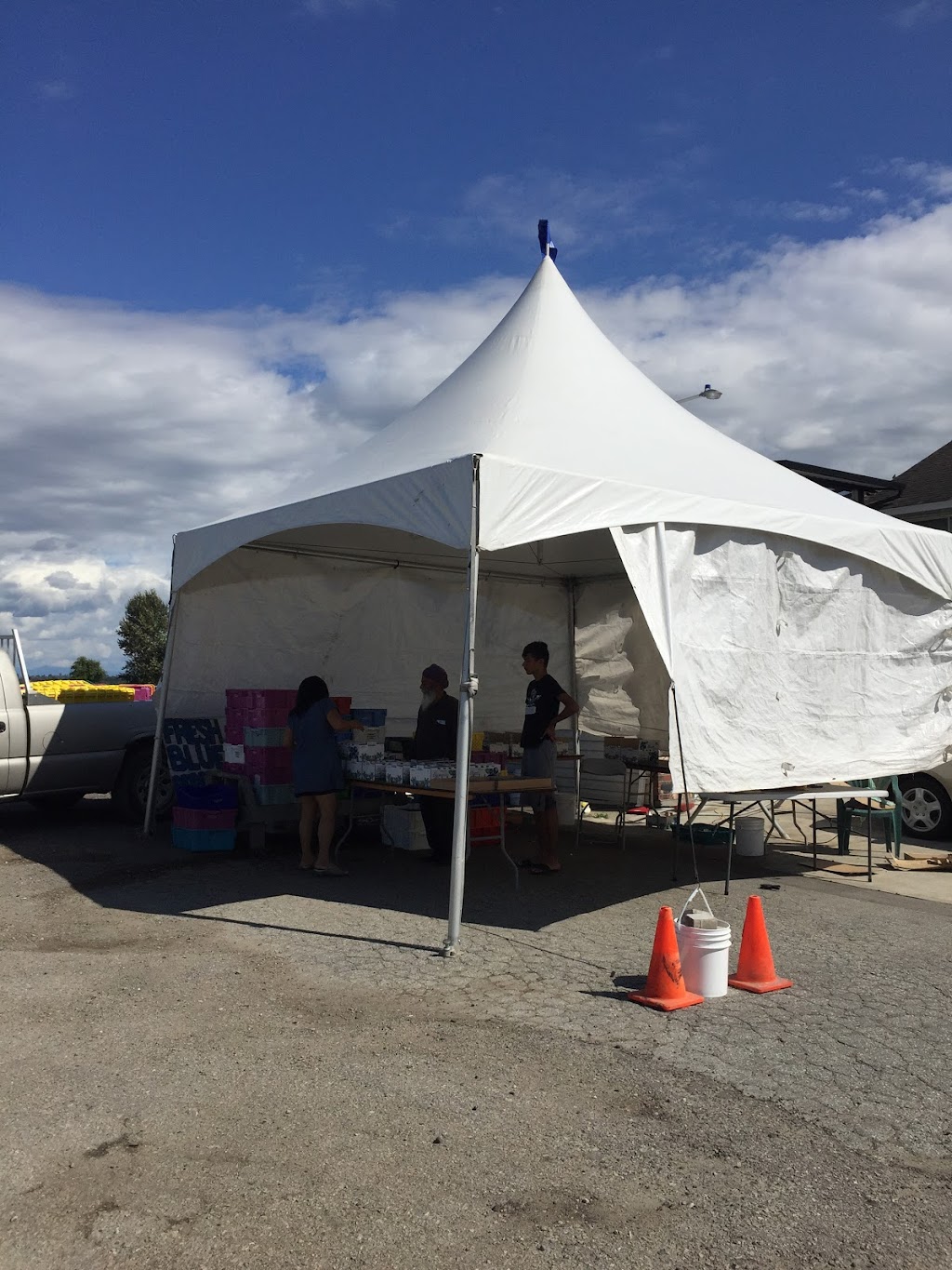 Blueberry Farm | 15211 72 Ave, Surrey, BC V3S 2G4, Canada | Phone: (778) 536-5951