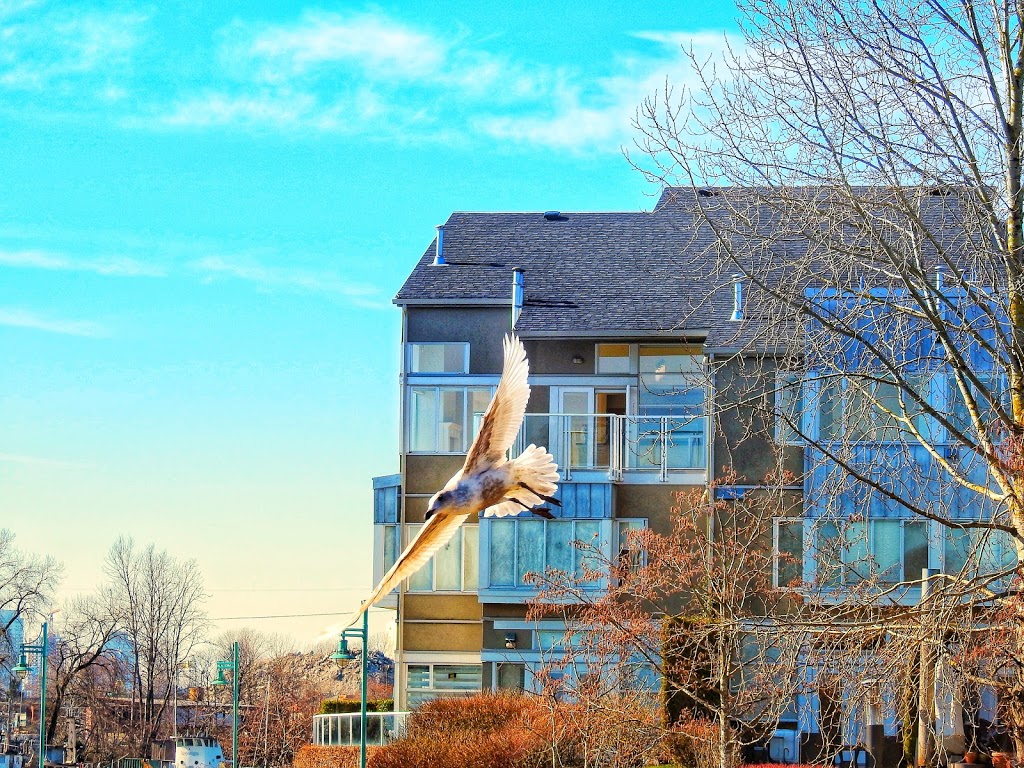 Gladstone-Riverside Park | 2500 East Kent Ave S, Vancouver, BC V5P 4X2, Canada | Phone: (604) 873-7000