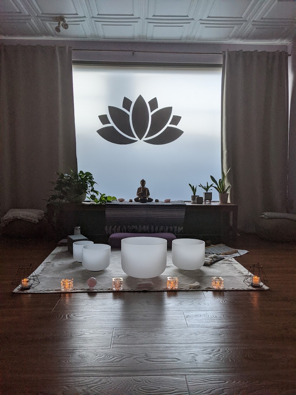Nakshatra Wellness Co. | 1085 Loganberry St, Oshawa, ON L1K 2W3, Canada | Phone: (416) 727-4930