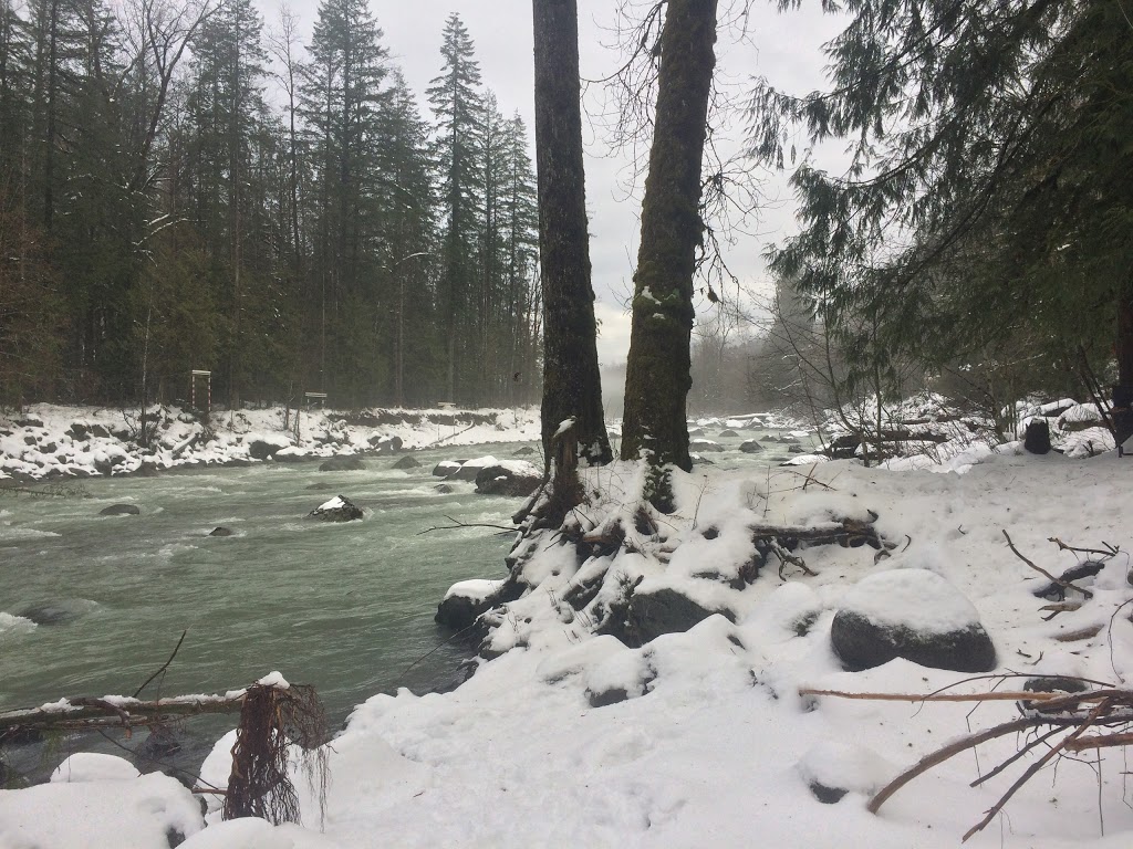 Tamihi Rapids Campsite | Chilliwack River Rd, Chilliwack, BC, Canada | Phone: (905) 658-5567