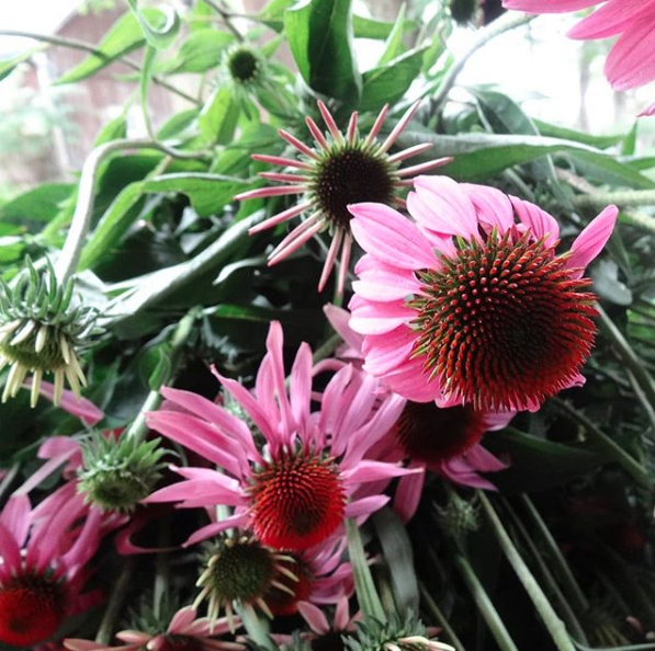 Floreren Farm | 221788 Concession Rd 14, Neustadt, ON N0G 2M0, Canada | Phone: (519) 760-0453