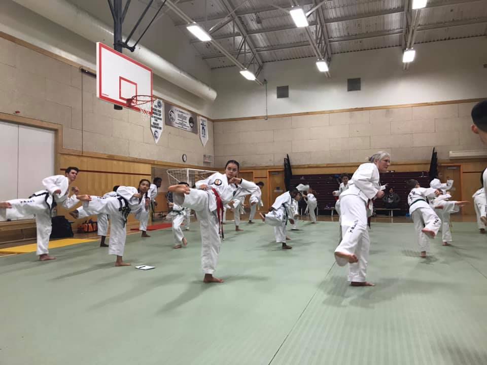 Lus TaeKwon-Do | 2451 Riverside Dr., Ottawa, ON K1H 7X7, Canada | Phone: (613) 266-5142