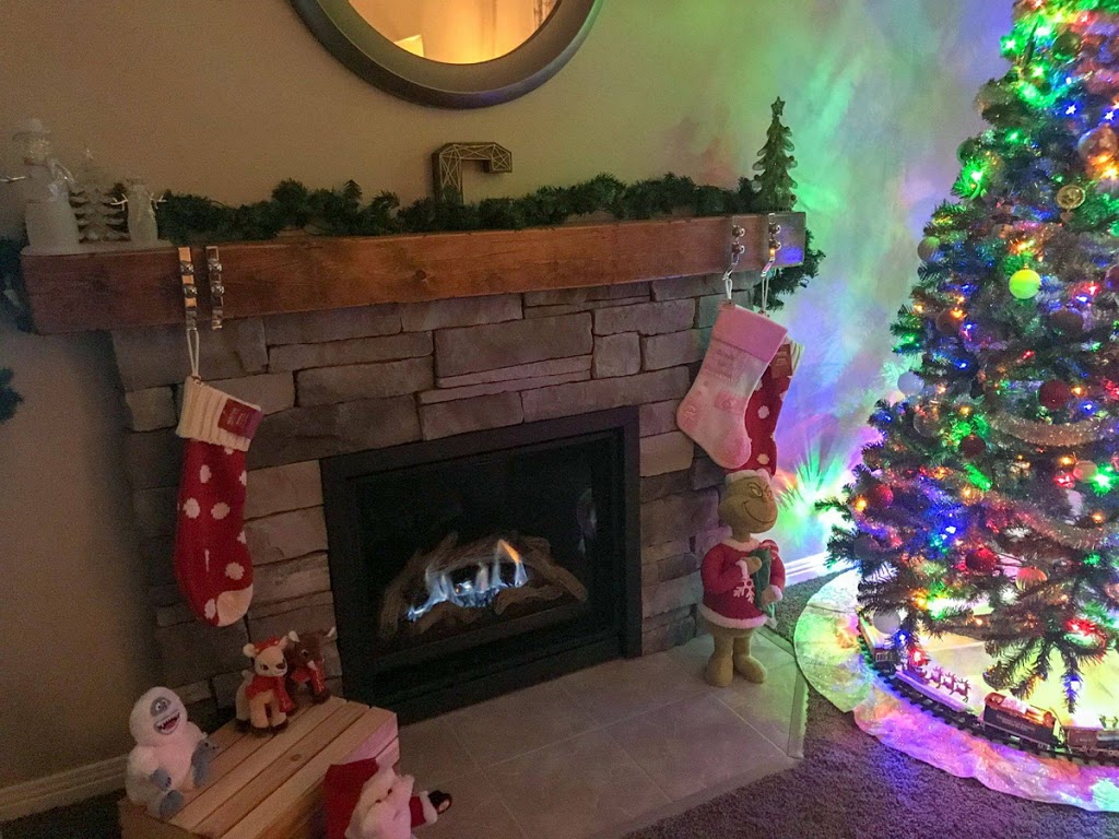 Safe Home Fireplace | 2295 Wharncliffe Rd S #8, London, ON N6P 1S7, Canada | Phone: (519) 652-7080