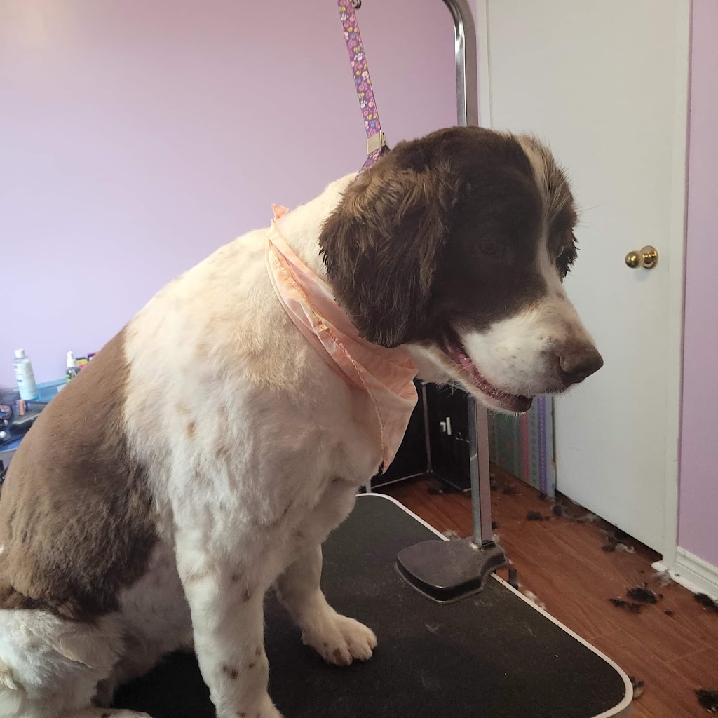 Tys Furtique | 8 Maple Dr, Shearwater, NS B3G 1A0, Canada | Phone: (902) 719-2374
