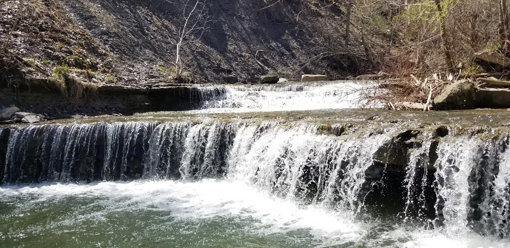 Rock Glen Conservation Area | 8680 Rock Glen Rd, Arkona, ON N0M 1B0, Canada | Phone: (519) 828-3071