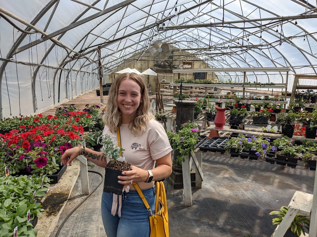 Windmill Greenhouses | 1640 Ominica St E, Moose Jaw, SK S6H 7K7, Canada | Phone: (306) 692-1663
