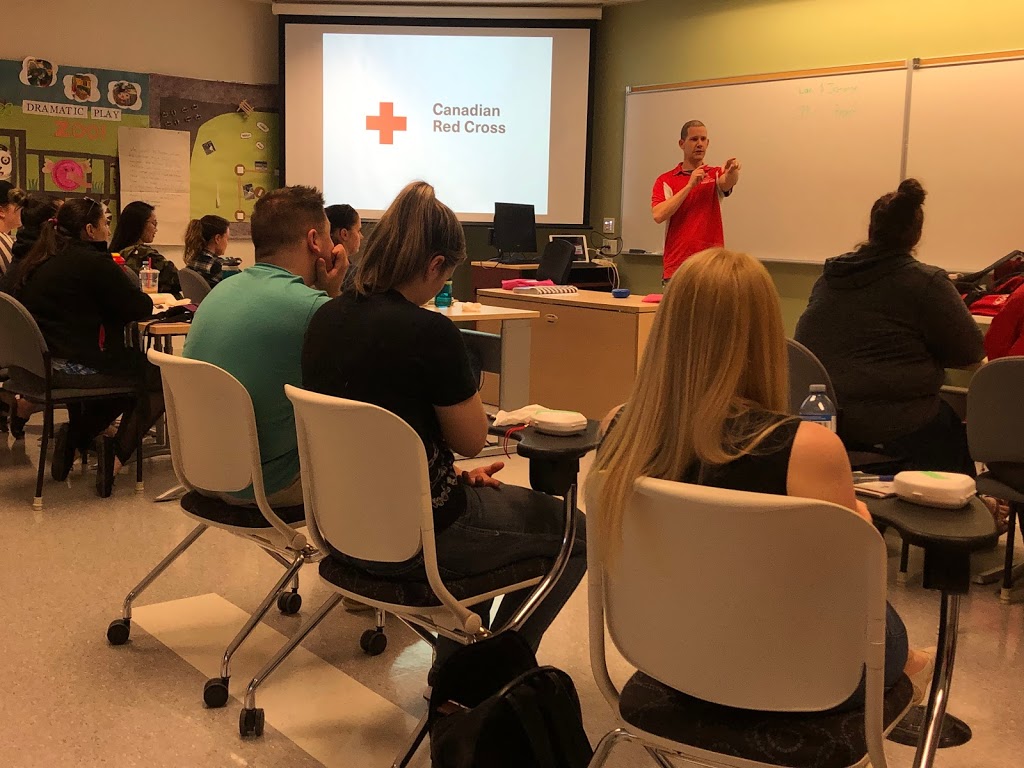 Ottawa Valley First Aid | 22 Helmer Ln, Haley Station, ON K0J 1Y0, Canada | Phone: (343) 369-6218