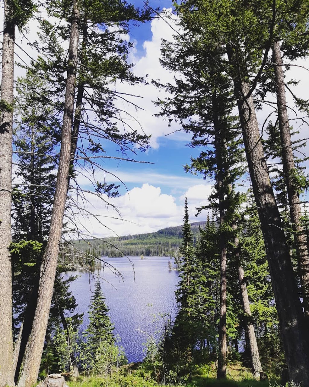 Oyama Lake Recreation Site | Central Okanagan I, BC V0E, Canada