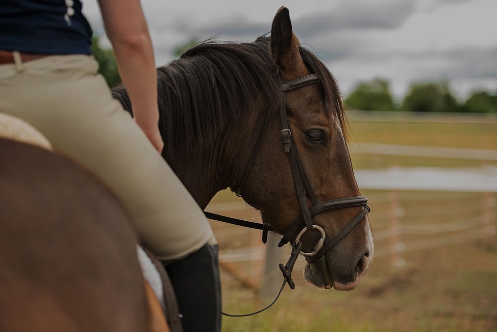 Sue Damen Equestrian Development | 87 Bethel Church Rd, Brantford, ON N3R 0B9, Canada | Phone: (905) 516-4003