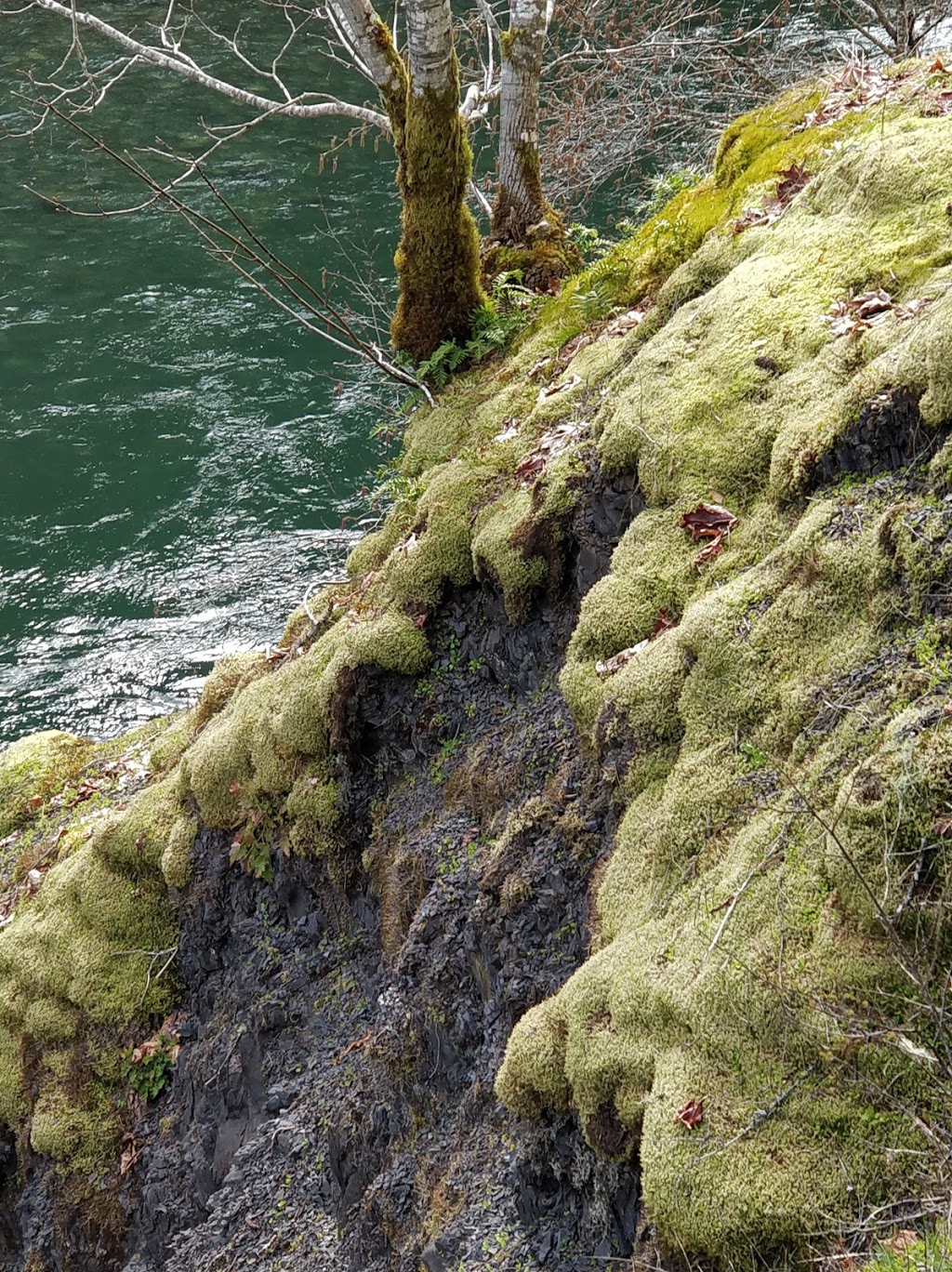 Glenora Riverside Park | Sunrise Rd, Duncan, BC V9L 6G6, Canada | Phone: (250) 746-2500