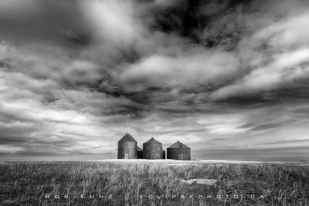 Eclipse Photography & Framing | 442 McMaster Crescent, Saskatoon, SK S7H 4E7, Canada | Phone: (306) 260-0904