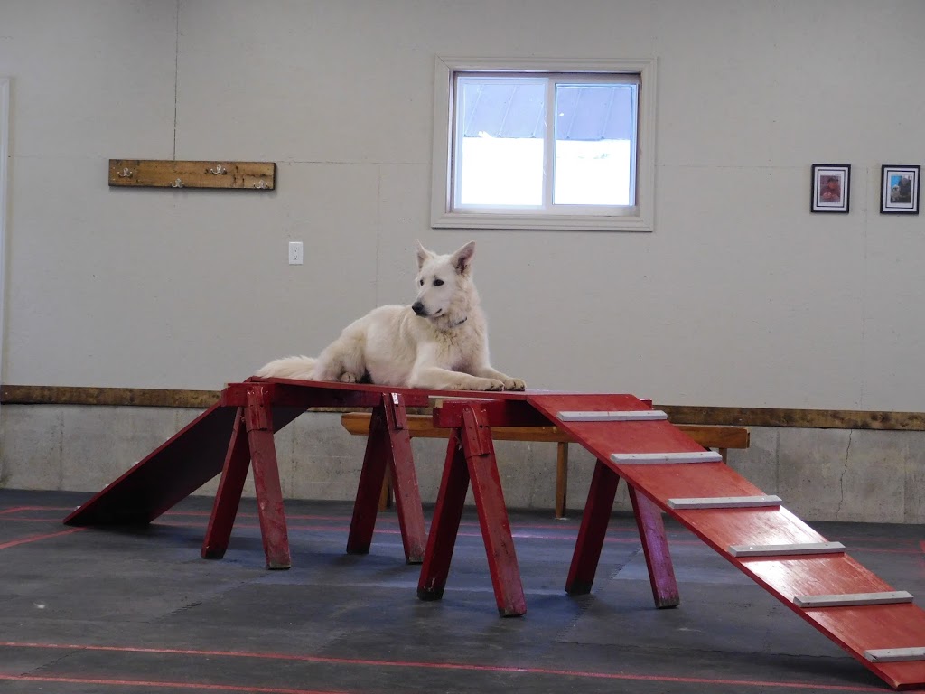 Thames Centre Service Dogs | 23698 Sutherland Rd, Mount Brydges, ON N0L 1W0, Canada | Phone: (519) 318-4658