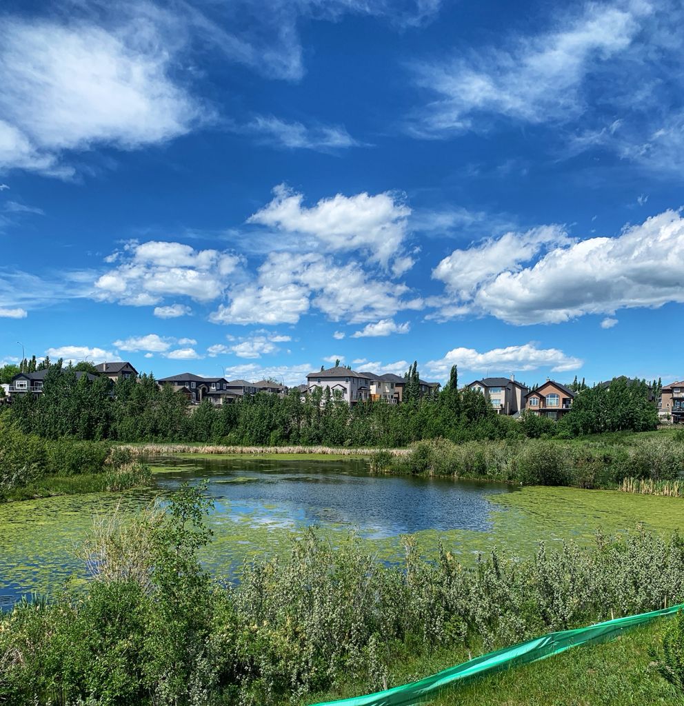 Ravines of Royal Oak | 4 Royal Elm Green NW, Calgary, AB T3G 0G8, Canada | Phone: (403) 454-0684