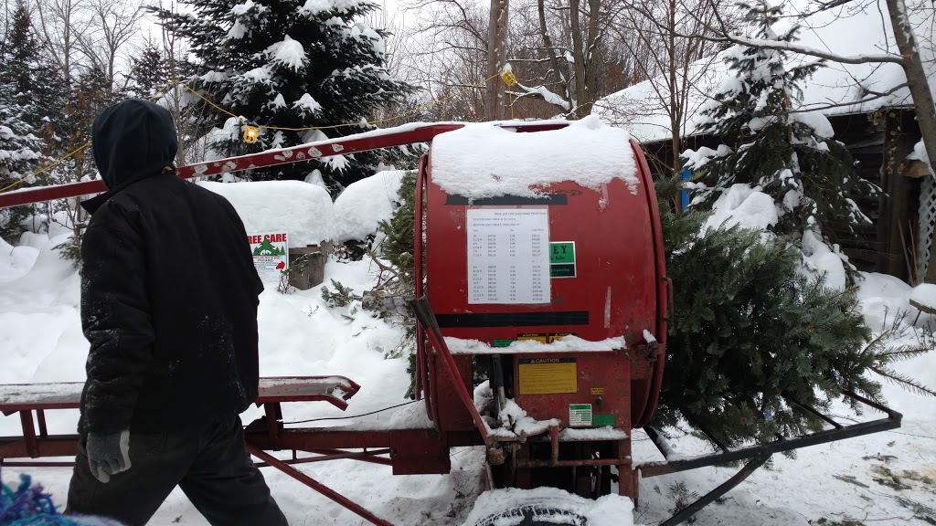 Tree Haven Evergreen Nursery Inc | 981 Jamison Rd, Elma, NY 14059, USA | Phone: (716) 652-4206