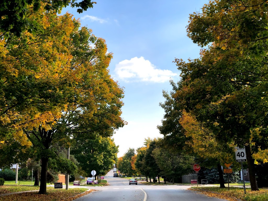 Movability - Wellness & Sport Sciences | 2 Hunters Point Dr #2, Richmond Hill, ON L4C 9Y4, Canada | Phone: (905) 763-4000