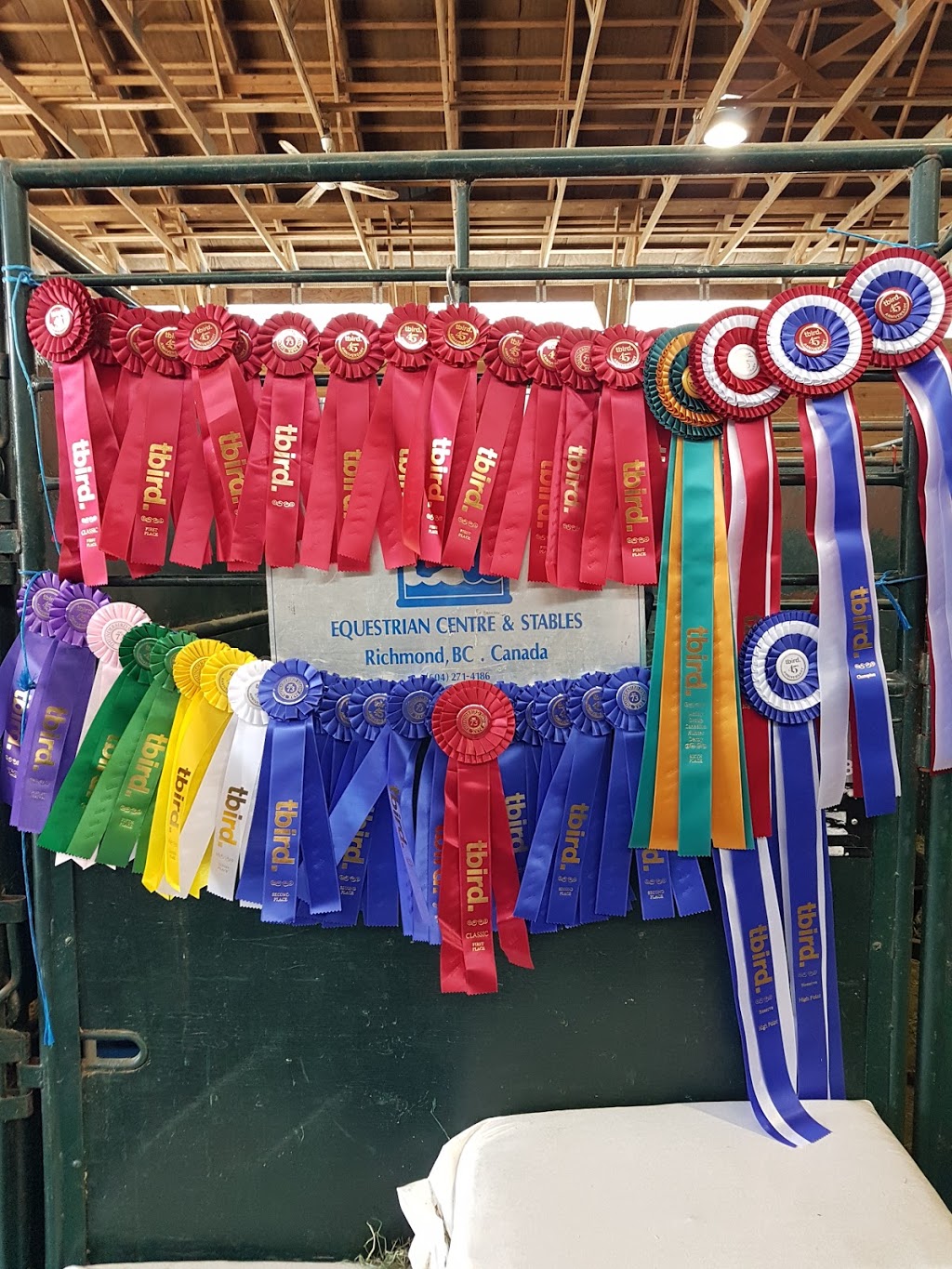 Riverside Equestrian Centre Inc | 13751 Garden City Rd, Richmond, BC V7A 2S5, Canada | Phone: (604) 271-4186
