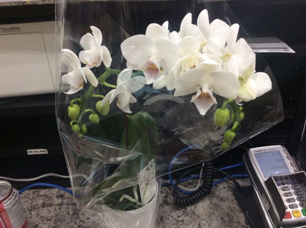Clarity Dental | 2-1360 Taylor Ave, Winnipeg, MB R3M 3Z1, Canada | Phone: (204) 336-8478