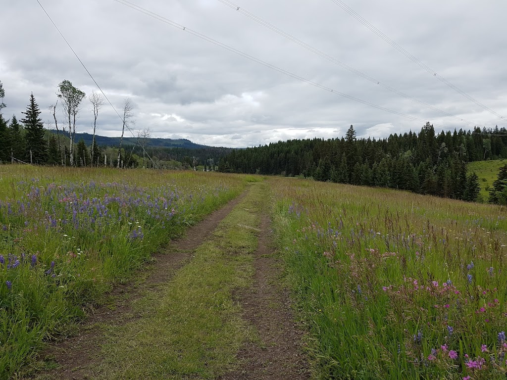 Roche Lake Provincial Park | Knutsford, BC V0E 2A0, Canada | Phone: (250) 320-9305