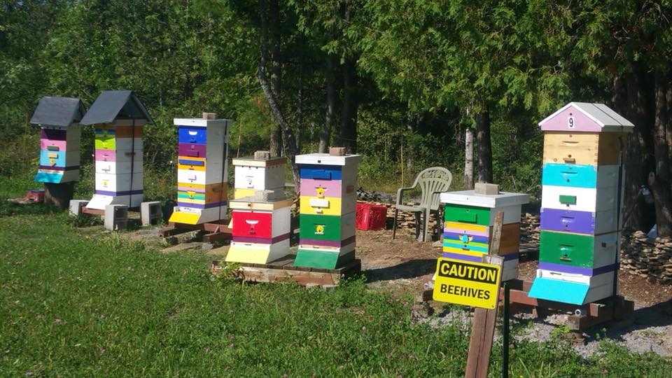 Crown Point Honey | 4984 Dunrobin Rd, Ottawa, ON K0A 3M0, Canada | Phone: (613) 859-4890