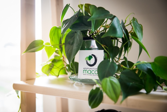 Acupuncture Maca | 3180 Chem. de Chambly #305, Longueuil, QC J4L 1N6, Canada | Phone: (450) 693-0796