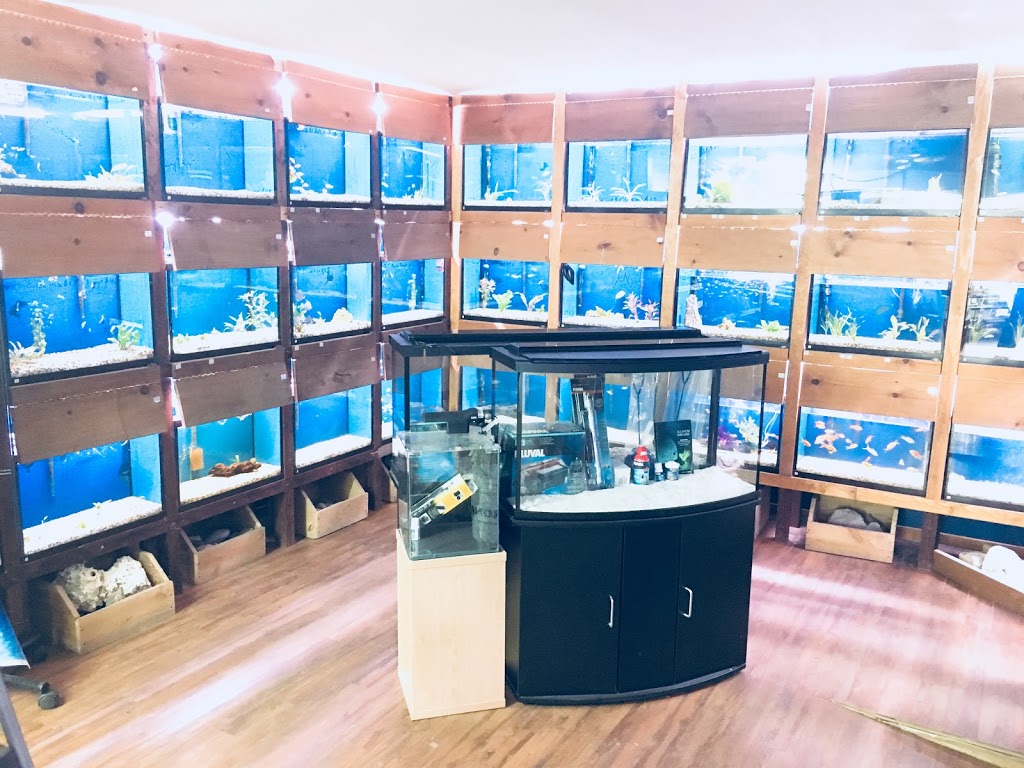 Animalerie Animal Bouffe 131 2e Avenue, SaintJeansurRichelieu, QC