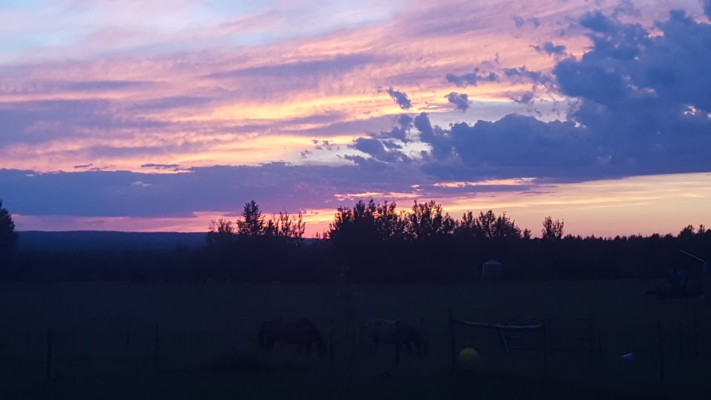 RVL Contracting | 48126 Range Rd 71, Buck Creek, AB T0C 0S0, Canada | Phone: (780) 514-4146