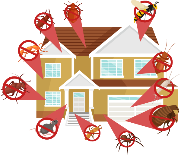 Extermination Laval | 270 Boulevard Saint-Elzéar O, Laval, QC H7L 3P2, Canada | Phone: (514) 536-0179