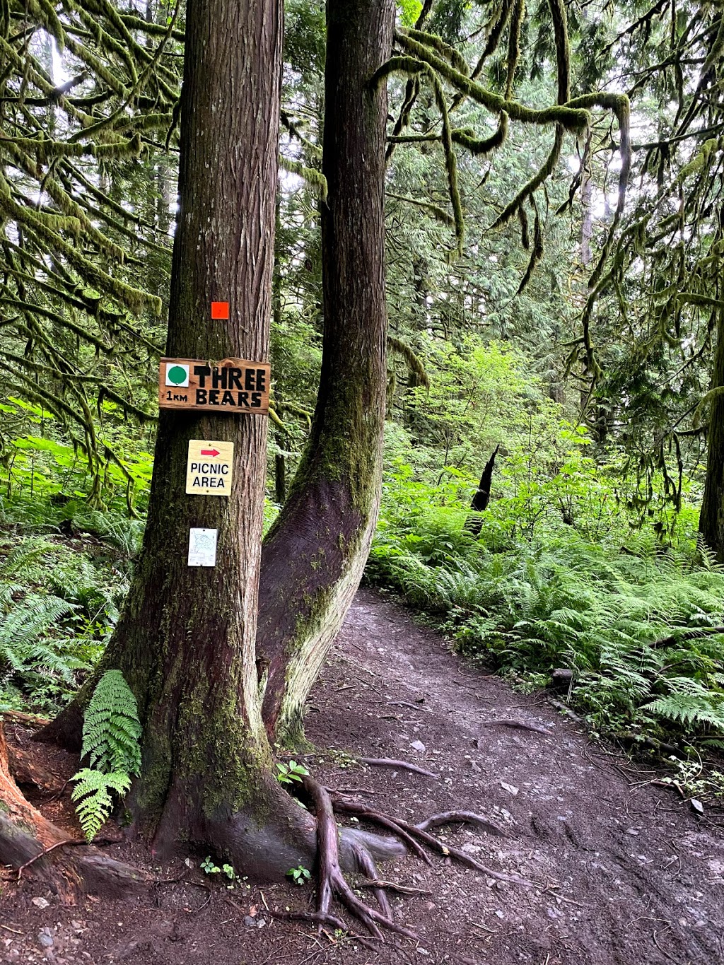 Chilliwack Community Forest | 51642 Allan Rd, Chilliwack, BC V4Z 1L2, Canada | Phone: (604) 793-2904