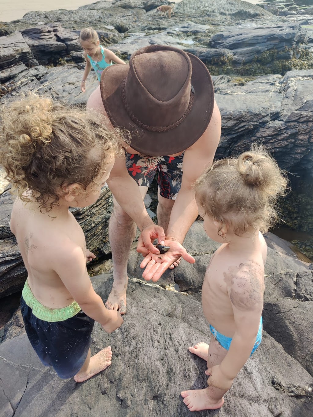 Mispec Beach | Simonds Parish, NB E2J, Canada | Phone: (506) 658-2908