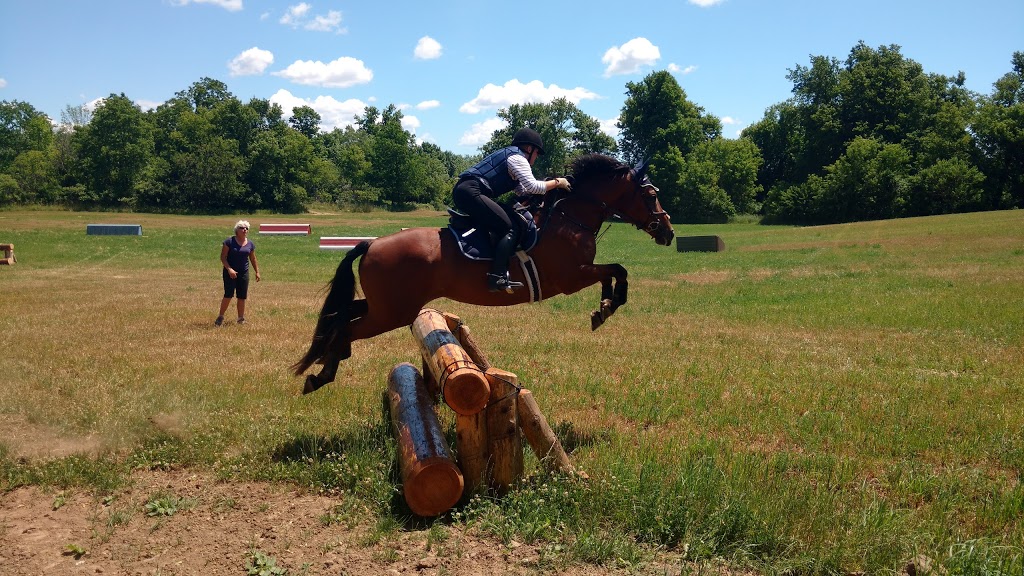Bronte Creek Equestrian Centre | 1694 Centre Rd, Hamilton, ON L8N 2Z7, Canada | Phone: (905) 379-3855