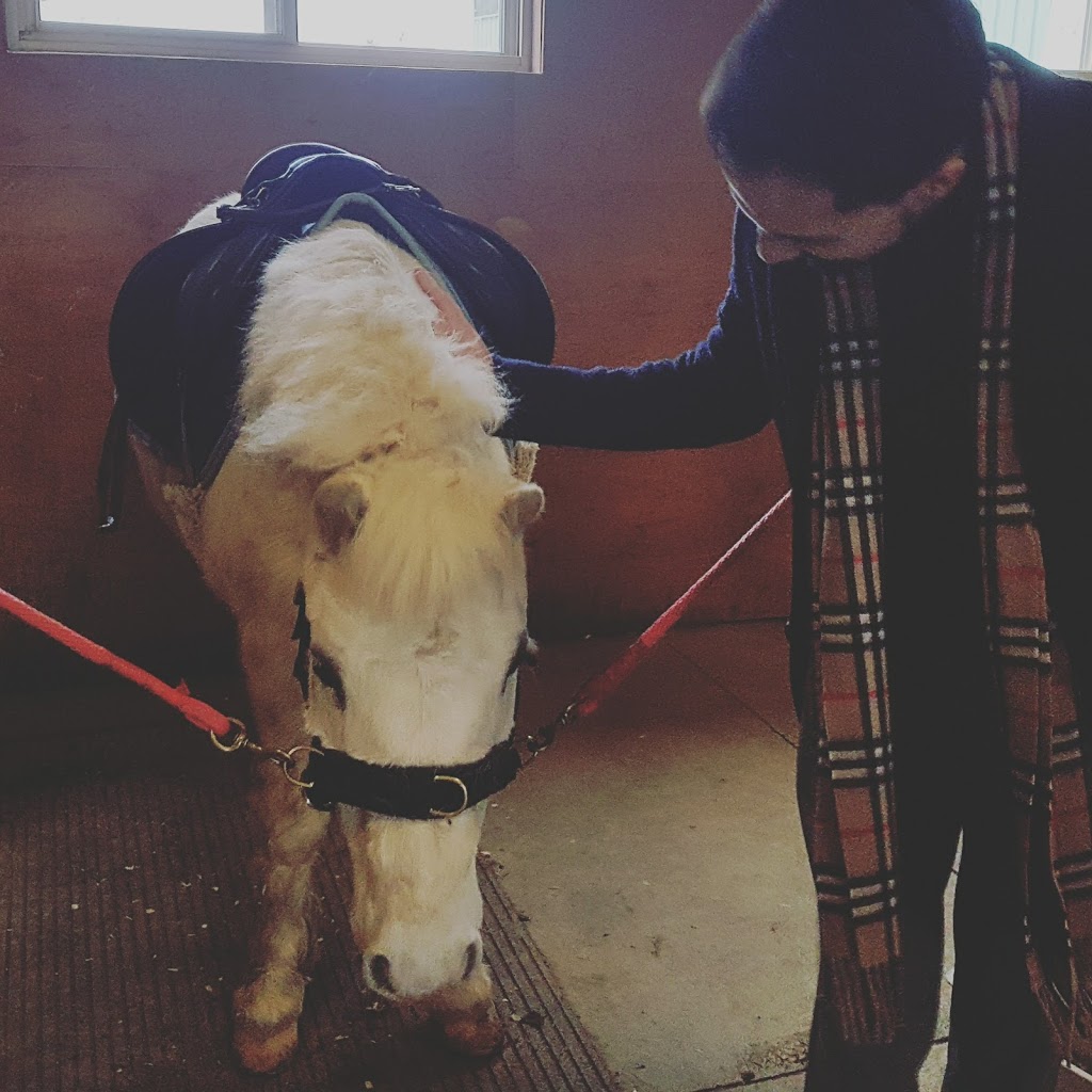 SARI Therapeutic Riding | 12659 Medway Rd, Arva, ON N0M 1C0, Canada | Phone: (519) 666-1123