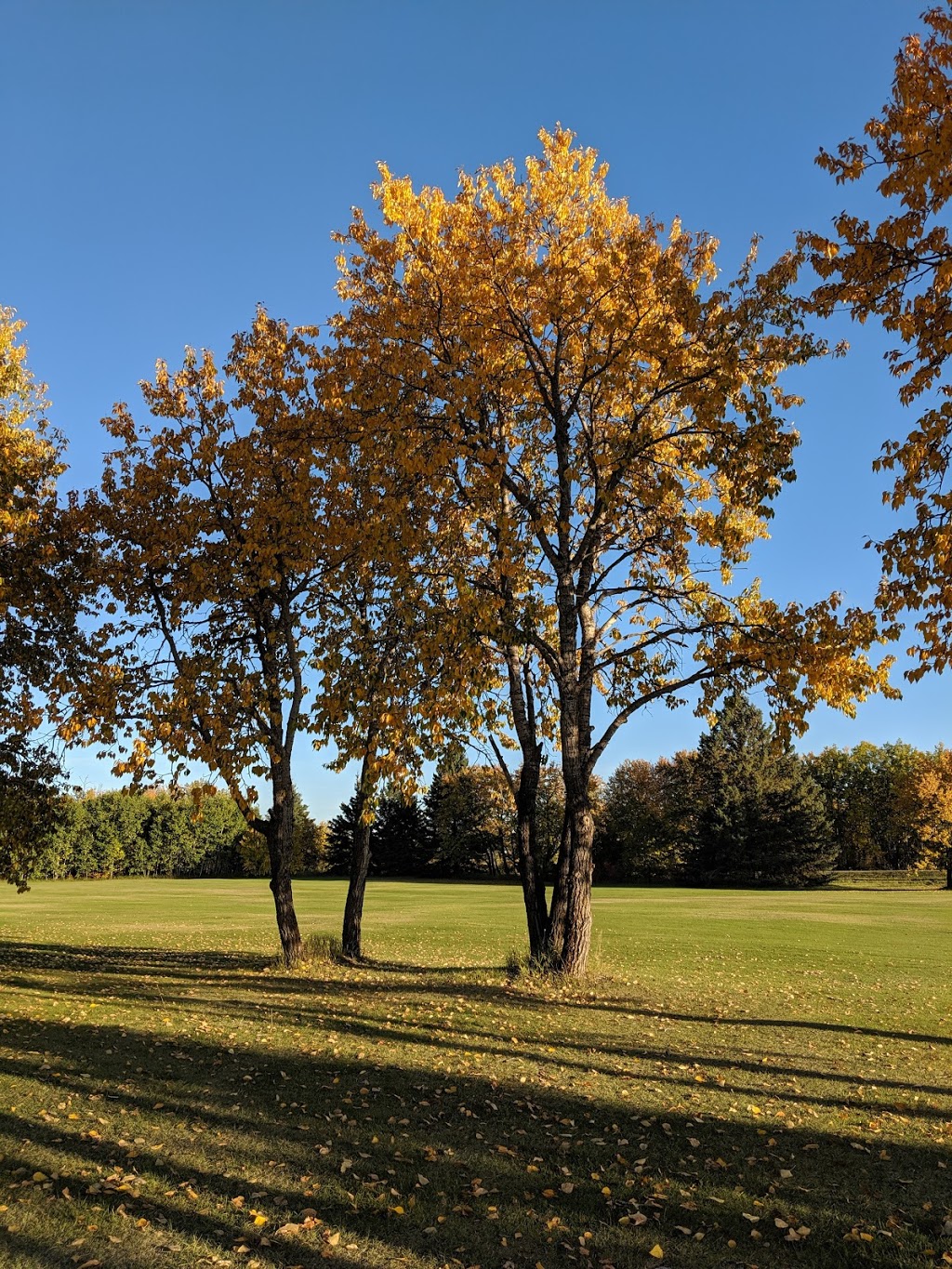 Leask Golf Course | Leask No. 464, SK S0J 1M0, Canada | Phone: (306) 747-7933