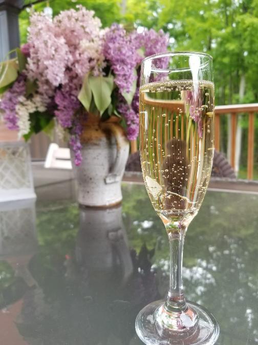 Maple Haven Bed & Breakfast | 442465, Concession Rd 21, Georgian Bluffs, ON N0H 2T0, Canada | Phone: (519) 447-0027
