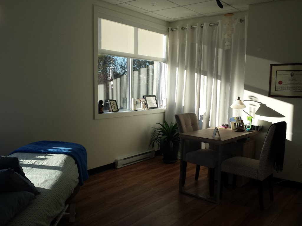 Diane Beaudet Ostéopathe | 10340 Rue du Plein Air, Mirabel, QC J7J 1S8, Canada | Phone: (450) 434-7189